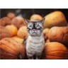 CALVENDO Puzzle CALVENDO Puzzle Herbstimpression Пазл CALVENDO Пазл Осеннее впечатление
