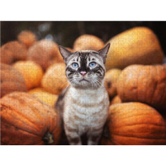 CALVENDO Puzzle CALVENDO Puzzle Herbstimpression Пазл CALVENDO Пазл Осеннее впечатление