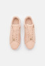 Tommy Hilfiger COURT Trainers misty blush КОРТ Тренеры туманный румянец