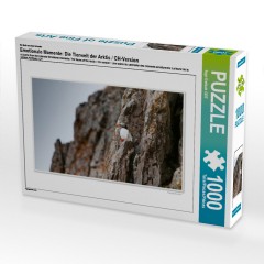 CALVENDO Puzzle CALVENDO Puzzle Emotionale Momente: Die Tierwelt der Arktis \/ CH-Version Пазл CALVENDO Puzzle Emotional Moments: The Animal World of the Arctic / CH version