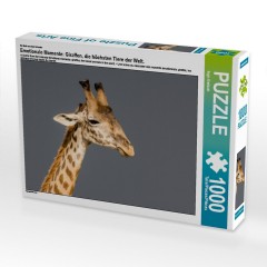CALVENDO Puzzle CALVENDO Puzzle Emotionale Momente: Giraffen Пазл CALVENDO Puzzle Эмоциональные моменты: Жирафы