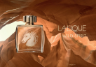 Lalique Pour Homme Equus Eau de Parfum  Мужской парфюм, древесно-фужерный аромат с ветивером и мускусом, 75мл