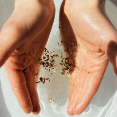 Bjork  Berries Bath Salt  Соль для ванны