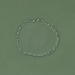 Edible Beauty No. 2 Citrus Rhapsody Toner Mist  Нет. 2 тонера Citrus Rhapsody