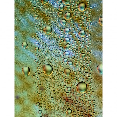 CALVENDO Puzzle CALVENDO Puzzle Gazastreifen Пазл CALVENDO Пазл Газа