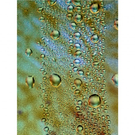 CALVENDO Puzzle CALVENDO Puzzle Gazastreifen Пазл CALVENDO Пазл Газа