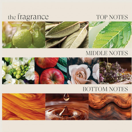 Lanza Healing Style Air Paste 167 ml  Финишный лак для волос