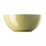 Thomas Thomas Sunny Day Avocado Green Schussel 21 cm / 2,0 L Чаша Thomas Sunny Day Avocado Green 21 см / 2,0 л