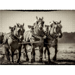 CALVENDO Puzzle CALVENDO Puzzle Pflugen mit drei Pferden Пазл CALVENDO Puzzle Плуги с тремя лошадьми