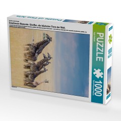 CALVENDO Puzzle CALVENDO Puzzle Emotionale Momente: Giraffen Пазл CALVENDO Puzzle Эмоциональные моменты: Жирафы