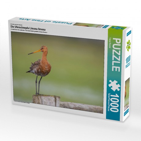 CALVENDO Puzzle CALVENDO Puzzle Die Uferschnepfe Limosa limosa Пазл CALVENDO Puzzle Чернохвостый веретенник Limosa limosa