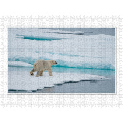 CALVENDO Puzzle CALVENDO Puzzle Emotionale Momente: Der Eisbar. \/ CH-Version Пазл CALVENDO Пазл Эмоциональные моменты: ледяной бар. \/ версия CH