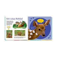 Coppenrath Verlag Fuhl mal hier Почувствуй себя здесь