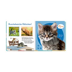 Coppenrath Verlag Fuhl mal hier Почувствуй себя здесь