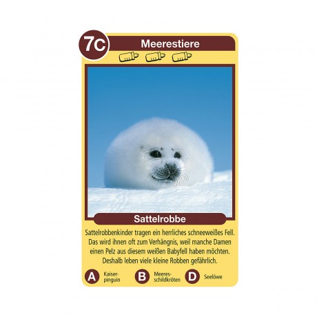 Ravensburger Tier-Quartette: Tierkinder Квартет животных: Дети животных