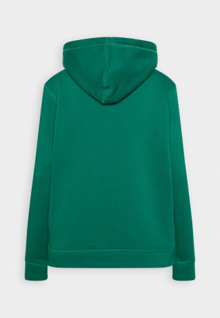 Tommy Hilfiger REGULAR  Hoodie prep green ОБЫЧНЫЙ Толстовка с капюшоном подготовка зеленый