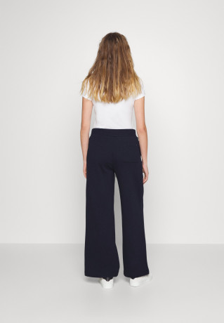 Tommy Hilfiger NEW BRANDED STRAIGHT PANT Tracksuit bottoms desert sky NEW BRANDED STRAIGHT PANT Спортивные штаны небо пустыни