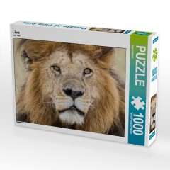 CALVENDO Puzzle CALVENDO Puzzle Lowe Пазл CALVENDO Puzzle Lowe