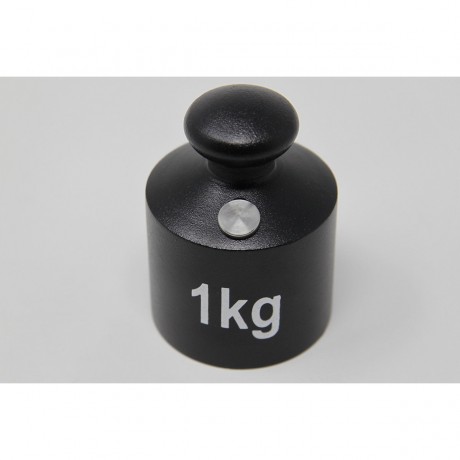 Wissner aktiv lernen Gewicht Gusseisen 1 kg Вес чугуна 1 кг