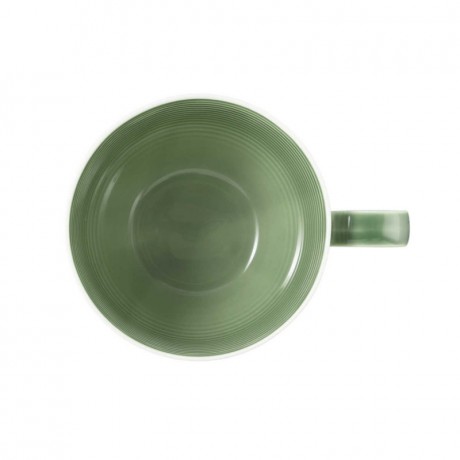 Seltmann Weiden Seltmann Weiden Beat Salbeigrun Kaffeeobertasse 0,26 L Зеленая кофейная чашка Seltmann Weiden Beat sage 0,26 л