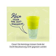 Kosmos Microgreen-Garten Микрозеленый сад