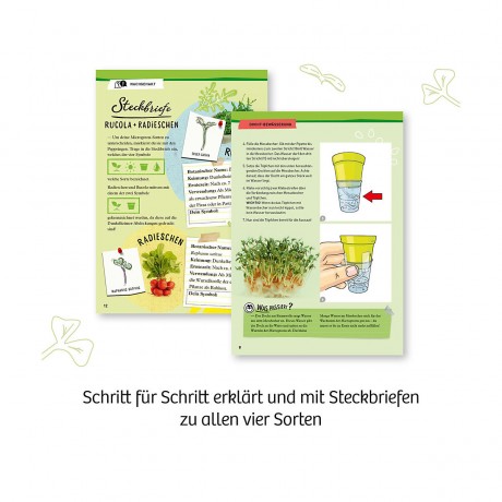 Kosmos Microgreen-Garten Микрозеленый сад