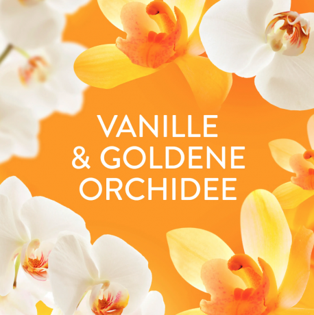 Lenor Wascheparfum Orchidee & Vanille 155g, Ленор Парфюм для стирки в гранулах Орхидея и ваниль, 155г 