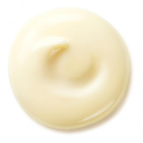 Shiseido Wrinkle Smoothing Day Cream SPF 25 50 ml Дневной крем для разглаживания морщин SPF 25