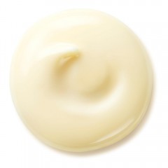 Shiseido Wrinkle Smoothing Day Cream SPF 25 50 ml Дневной крем для разглаживания морщин SPF 25