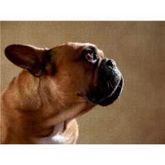 CALVENDO Puzzle CALVENDO Puzzle Digger Пазл CALVENDO Puzzle Digger