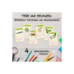 ASS Altenburger Abenteuer Schule школа приключений