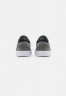 Nike SB ZOOM STEFAN JANOSKI UNISEX Sneaker low tumbled grey/university red/tumbled grey/white ZOOM STEFAN JANOSKI UNISEX Низкие кроссовки женские Упавший серый/университетский красный/упавший серый/белый