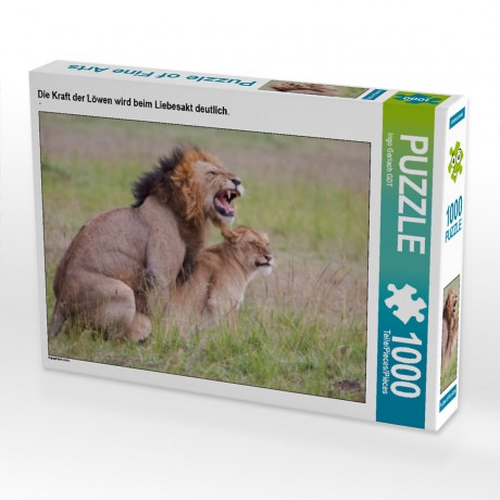 CALVENDO Puzzle CALVENDO Puzzle Die Kraft der Lowen wird beim Liebesakt deutlich. Пазл CALVENDO Puzzle Сила львов становится очевидной во время акта любви.