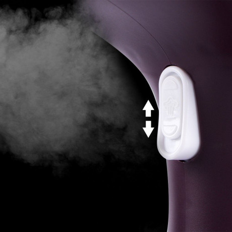 GelldG GelldG Dampfburste Dampfglatter, 200ML Steamer Wassertank Dampfburste Faltenentferner fuchsia Паровая щетка GelldG, разглаживатель паров, резервуар для воды для отпаривателя, 200 мл, паровая щетка для удаления морщин