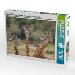 CALVENDO Puzzle CALVENDO Puzzle Emotionale Momente: Giraffen Пазл CALVENDO Puzzle Эмоциональные моменты: Жирафы