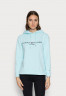 Tommy Hilfiger REGULAR  Hoodie polar ice ОБЫЧНЫЙ Толстовка с капюшоном полярный лед