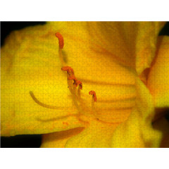 CALVENDO Puzzle CALVENDO Puzzle Lis Butter Pixie Пазл CALVENDO Puzzle Li&amp;#39;s Butter Pixie