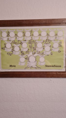 Картина винтажная &quot;Мое генеалогическое древо&quot;, в деревянной раме, 47 x 33 см, Германия, 1960-1970гг. 