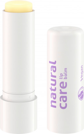 SANTE Natural Care Lip Balm, 4.6 g, Санте Бальзам Natural Care для ежедневного ухода за губами, 4,6 г