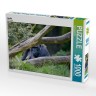 CALVENDO Puzzle CALVENDO Puzzle Gorilla Пазл CALVENDO Puzzle Горилла