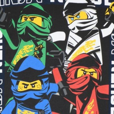 LEGO Sweatshirt fur Jungen Толстовка для мальчиков