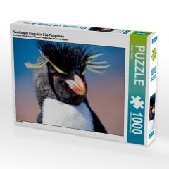 CALVENDO Puzzle CALVENDO Puzzle Rockhopper Pinguin in Sud-Patagonien Пазл CALVENDO Puzzle Пингвин Rockhopper в южной Патагонии