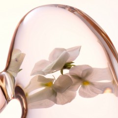 Lancaster Softening Perfecting Toner  Смягчающий Совершенствующий Тоник