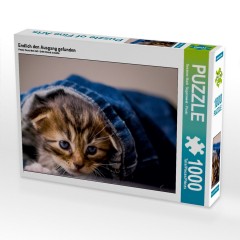 CALVENDO Puzzle CALVENDO Puzzle Endlich den Ausgang gefunden Пазл CALVENDO Puzzle Наконец нашел выход