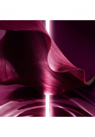 DIOR CAPTURE TOTALE FIRMING & WRINKLE-CORRECTING CREME Anti-Aging transparent CAPTURE TOTAL FIRMING & WRINKLE-CORRECTING CREAM Anti-Aging