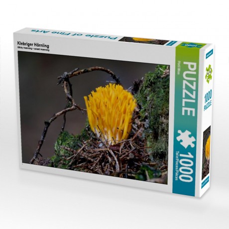 CALVENDO Puzzle CALVENDO Puzzle Klebriger Hornling Пазл CALVENDO Puzzle Sticky Hornling