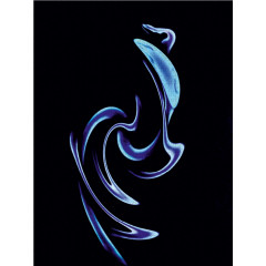 CALVENDO Puzzle CALVENDO Puzzle Regenbogenfarben magisch vereint Пазл CALVENDO Puzzle Цвета радуги волшебным образом сочетаются