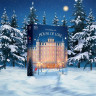 EIS Deluxe Adventskalendar 2025 Эротический адвент-календарь, 24 предмета, набор для взрослых, лучший подарок для пар 18+