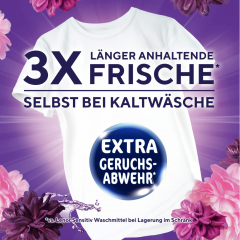 Lenor Color Flussigwaschmittel Amethyst Blutentraum 100WL, Гель для стирки цветного белья с ароматом  Цветочная мечта, 100 загрузок (4500мл)