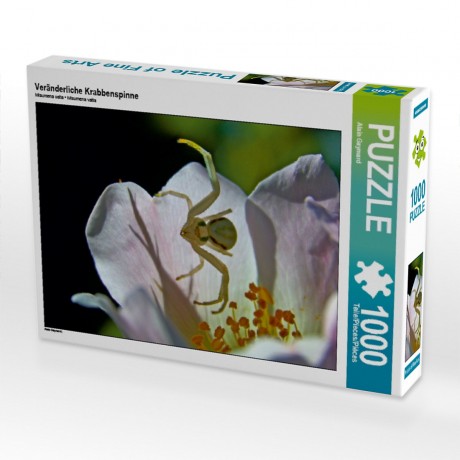 CALVENDO Puzzle CALVENDO Puzzle Veranderliche Krabbenspinne Пазл CALVENDO Puzzle Переменчивый краб-паук